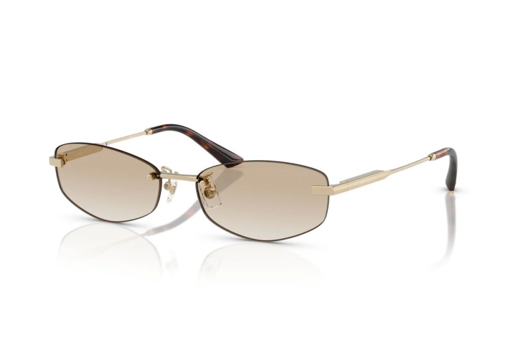 Jimmy Choo JC4013D - 300611 - 57 Lunettes de soleil Oval/Geometric