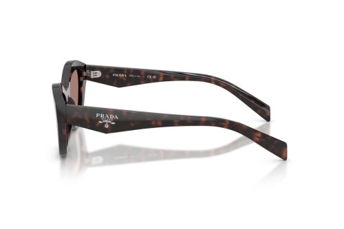 PRADA PR A02S - 17N60B - 52 Lunettes de soleil Havane foncé Œil de chat