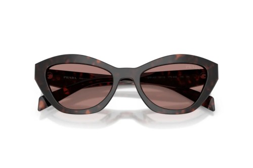 PRADA PR A02S - 17N60B - 52 Lunettes de soleil Havane foncé Œil de chat