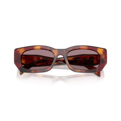 PRADA PR B05S - ​22A20I - ​53 Lunettes de soleil Havane Angulaire