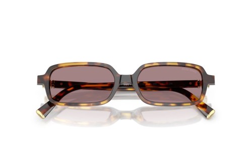 MIU MIU MU 11ZS - 14L20I - 51 Lunettes de soleil Havane Angulaire