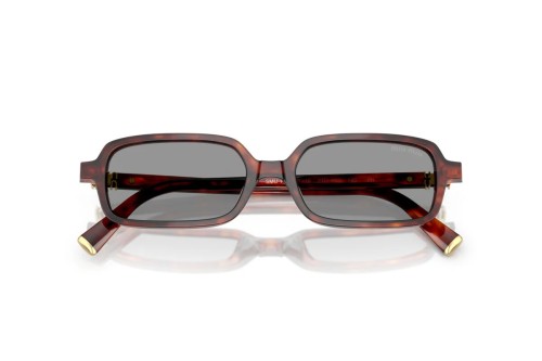 MIU MIU MU 11ZS - 21C40O - 51 Lunettes de soleil Square