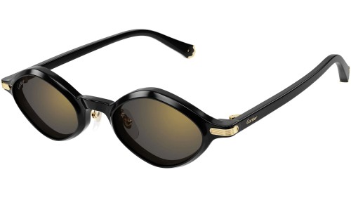 Cartier - Lunettes de soleil - CT0540S - 001 - 48