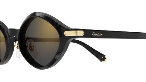 Cartier CT0540S - 001 - 48 Lunettes de soleil Noir Ovale