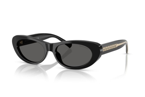 TIFFANY & CO. - Lunettes de soleil - TF4236U - 8001S4 - 55