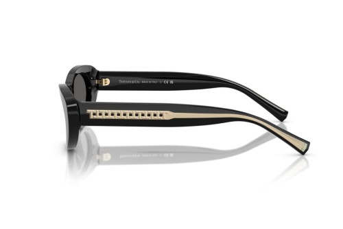 TIFFANY & CO. TF4236U - 8001S4 - 55 Lunettes de soleil Noir Œil de chat