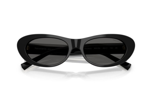 TIFFANY & CO. TF4236U - 8001S4 - 55 Lunettes de soleil Noir Œil de chat