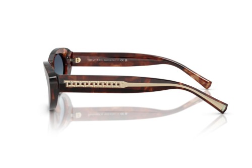 TIFFANY & CO. TF4236U - 84219S - 55 Lunettes de soleil Havane Œil de chat
