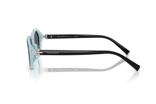 TIFFANY & CO. TF4242D - 8055S4 - 54 Lunettes de soleil Noir Ovale