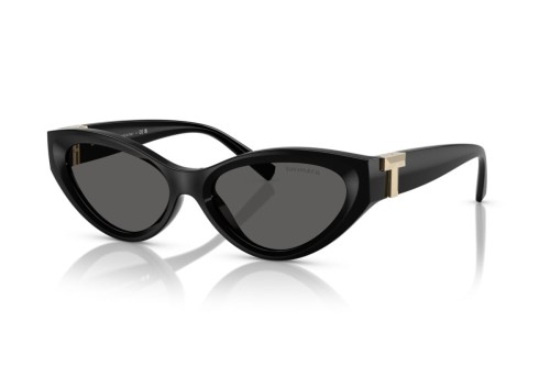 TIFFANY & CO. - Lunettes de soleil - TF4225U - 8001S4 - 54