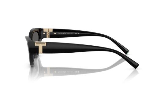 TIFFANY & CO. TF4225U - 8001S4 - 54 Lunettes de soleil Noir Œil de chat