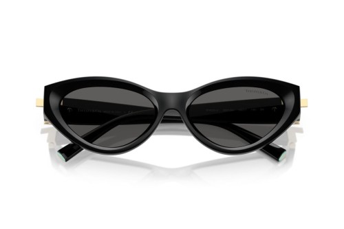 TIFFANY & CO. TF4225U - 8001S4 - 54 Lunettes de soleil Noir Œil de chat