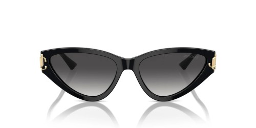 Jimmy Choo JC5019 - ​50008G - ​55 Lunettes de soleil Noir Œil de chat