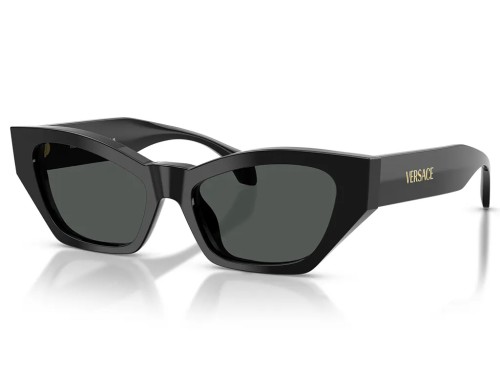 VERSACE - Lunettes de soleil - VE4488U - ​GB1/87 - ​53