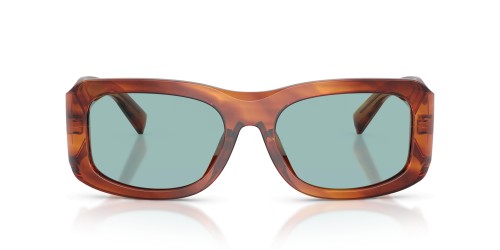 DOLCE & GABBANA DG4503 - ​322180 - ​57 Lunettes de soleil Havane Angulaire