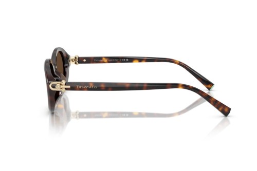 TIFFANY & CO. TF4242D - 80153G - 54 Lunettes de soleil Havane foncé Ovale