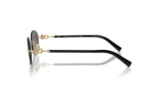 TIFFANY & CO. TF3104D - 6216S4 - 56 Lunettes de soleil Or Ovale