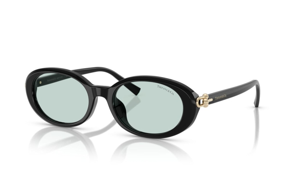 TIFFANY & CO. TF4242D - 8001D9 - 54 Lunettes de soleil Black Oval