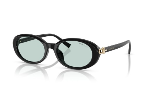 TIFFANY & CO. TF4242D - 8001D9 - 54 Lunettes de soleil Black Oval