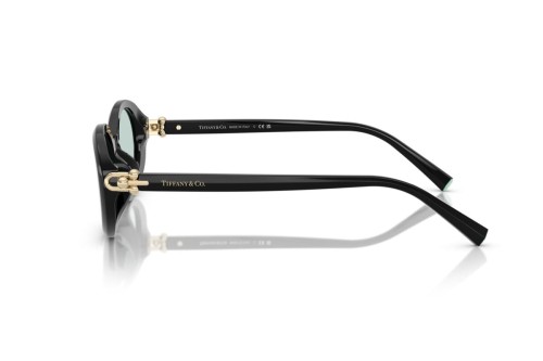 TIFFANY & CO. TF4242D - 8001D9 - 54 Lunettes de soleil Black Oval