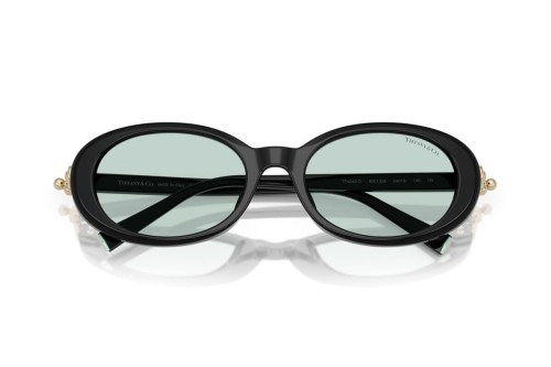 TIFFANY & CO. TF4242D - 8001D9 - 54 Lunettes de soleil Black Oval