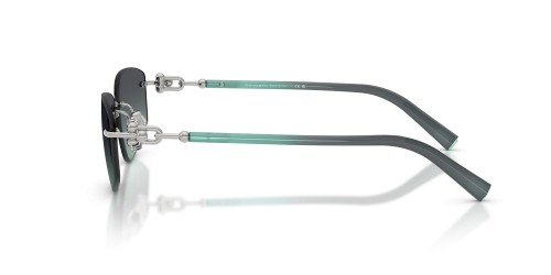 TIFFANY & CO. TF3114 - 60012G - 59 Lunettes de soleil Argent Angulaire