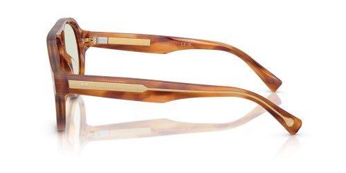 BRUNELLO CUCINELLI BC4017S - 102221 - 57 - AVEC DES VERRES TRANSITIONS Lunettes de soleil Havane Pilote (Aviateur)