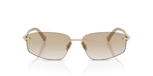 TIFFANY & CO. TF3114 - 602111 - 59 Lunettes de soleil Or pâle Irrégulier