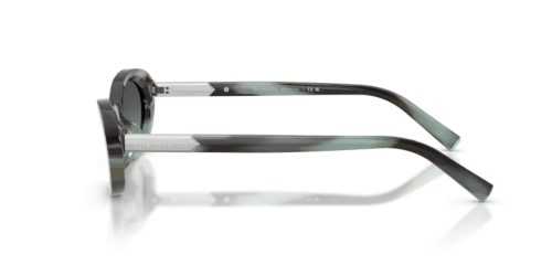 TIFFANY & CO. TF4250 - 84432G - 56 Lunettes de soleil Rayé noir tiffany Ovale