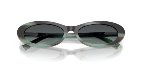 TIFFANY & CO. TF4250 - 84432G - 56 Lunettes de soleil Rayé noir tiffany Ovale