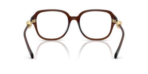 VERSACE VE3386D - 5534 - 55 Cadres optiques Translucide marron Angulaire
