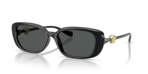 VERSACE VE4504D - GB1/87 - 56 Lunettes de soleil Noir Coussin