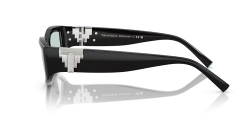 TIFFANY & CO. TF4234U - 8001D9 - 55 Lunettes de soleil Noir Irrégulier
