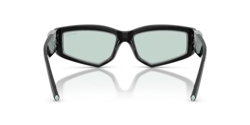 TIFFANY & CO. TF4234U - 8001D9 - 55 Lunettes de soleil Noir Irrégulier