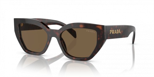 PRADA PR A09S - ​16N5Y1 - ​53 Lunettes de soleil Havane Papillon