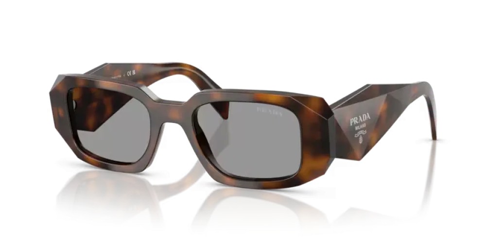 PRADA PR 17WS - 20D50Q - 49 Lunettes de soleil Genévrier écaille Rectangle