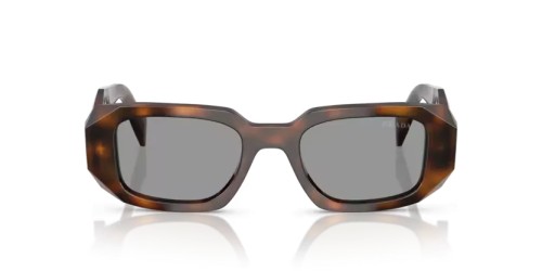 PRADA PR 17WS - 20D50Q - 49 Lunettes de soleil Genévrier écaille Rectangle