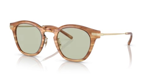 OLIVER PEOPLES OV5496 LEN - 1744 - 49 Lunettes de soleil Square