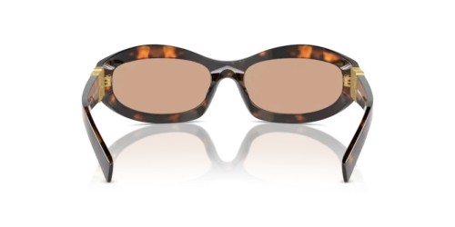MIU MIU MU 14ZS - 14L90H - 59 Lunettes de soleil Havane miel Irrégulier