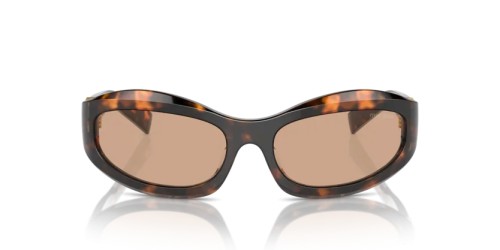 MIU MIU MU 14ZS - 14L90H - 59 Lunettes de soleil Havane miel Irrégulier