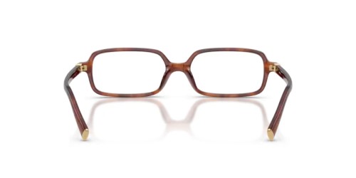 MIU MIU MU 01YV - 26E1O1 - 53 Cadres optiques Rayé tabac Rectangle