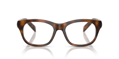PRADA PR C13V - 20D1O1 - 54 Cadres optiques Genévrier écaille Coussin