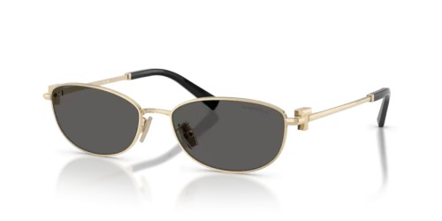 TIFFANY & CO. TF3115 - 6021S4 - 56 Lunettes de soleil Or pâle Ovale
