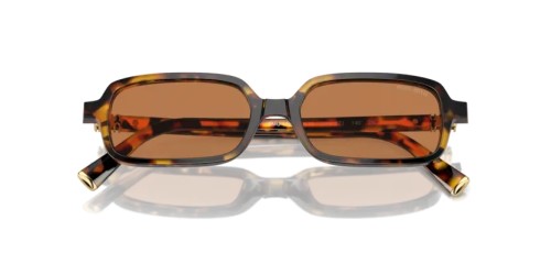 MIU MIU MU 11ZS - VAU2Z1 - 51 Lunettes de soleil Havane miel Rectangle