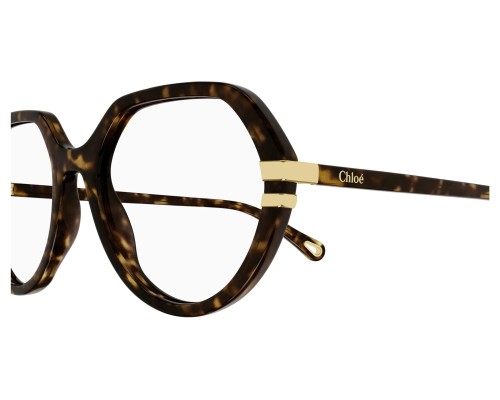 Chloé CH0206O - 002 - 54 Cadres optiques Havane Coussin arrondi