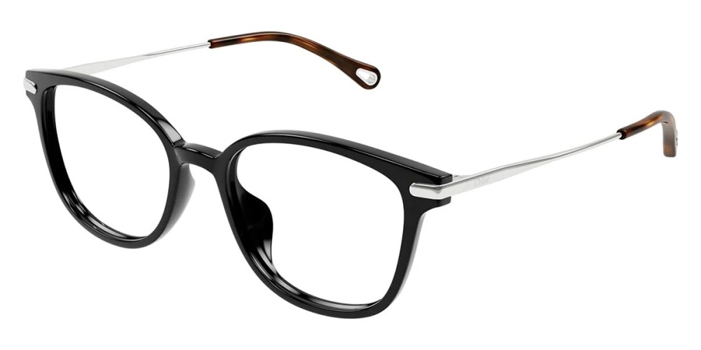 Chloé CH0219OA - 001 - 53 Cadres optiques Noir, Argent Coussin arrondi