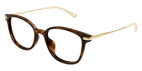 Chloé CH0219OA - 002 - 53 Cadres optiques Marron, Or Coussin arrondi