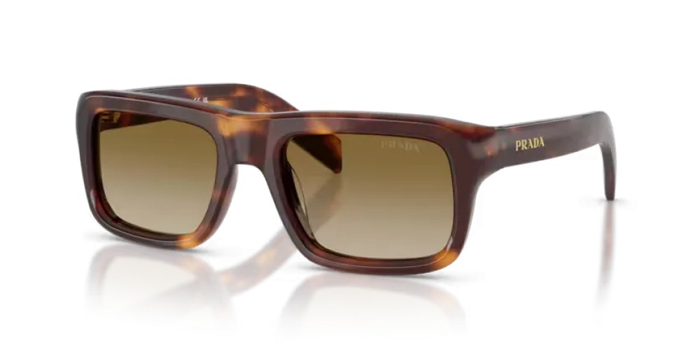 PRADA PR D11S - 15W20U - 54 Lunettes de soleil Écaille classique Rectangle