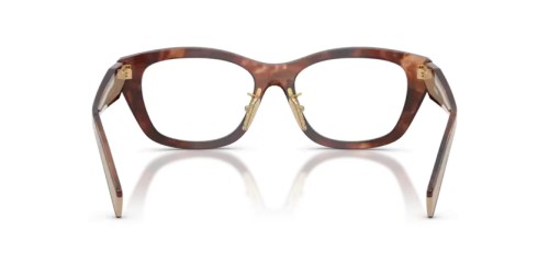 PRADA PR D11VD - 00K1O1 - 53 Cadres optiques Havane caramel Irrégulier