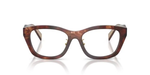 PRADA PR D11VD - 00K1O1 - 53 Cadres optiques Havane caramel Irrégulier